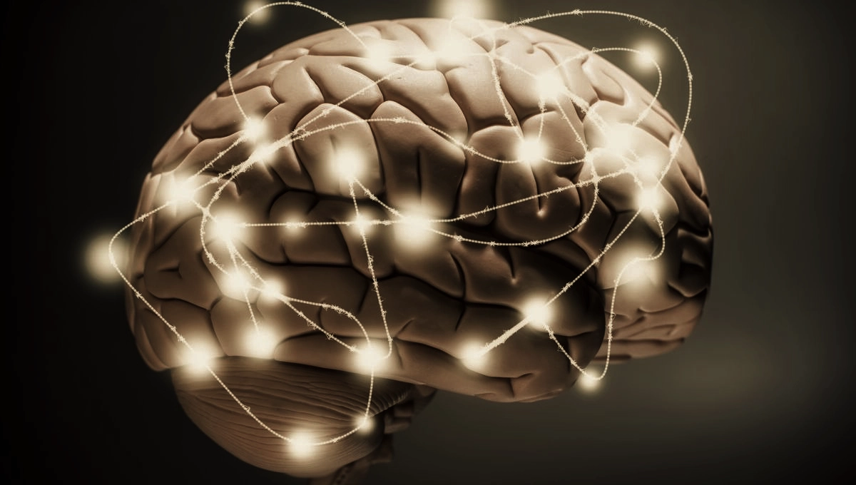 Neuroplasticity in (Complex) PTSD and Moral Injury: How the Brain Learns New Pathways