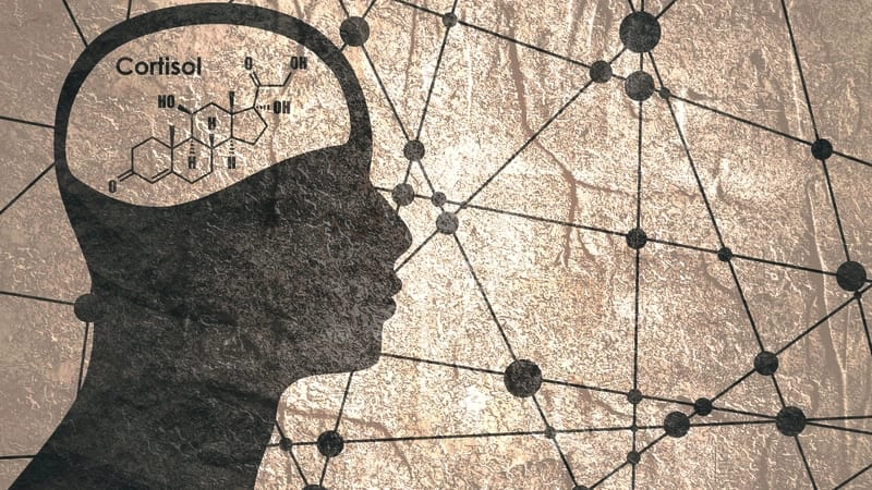 Cortisol and PTSD: What the Stress Hormone Really Does