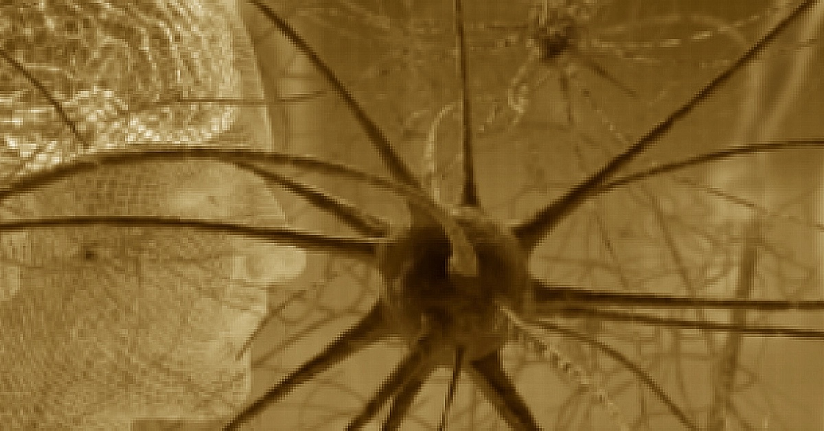 Your Body Is Your Unconscious Mind: Candace Pert and Trauma