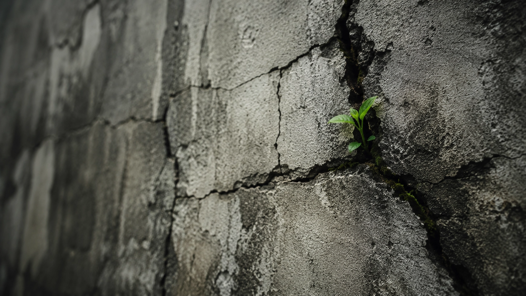 Post-traumatic growth in PTSD: can a person grow after trauma?