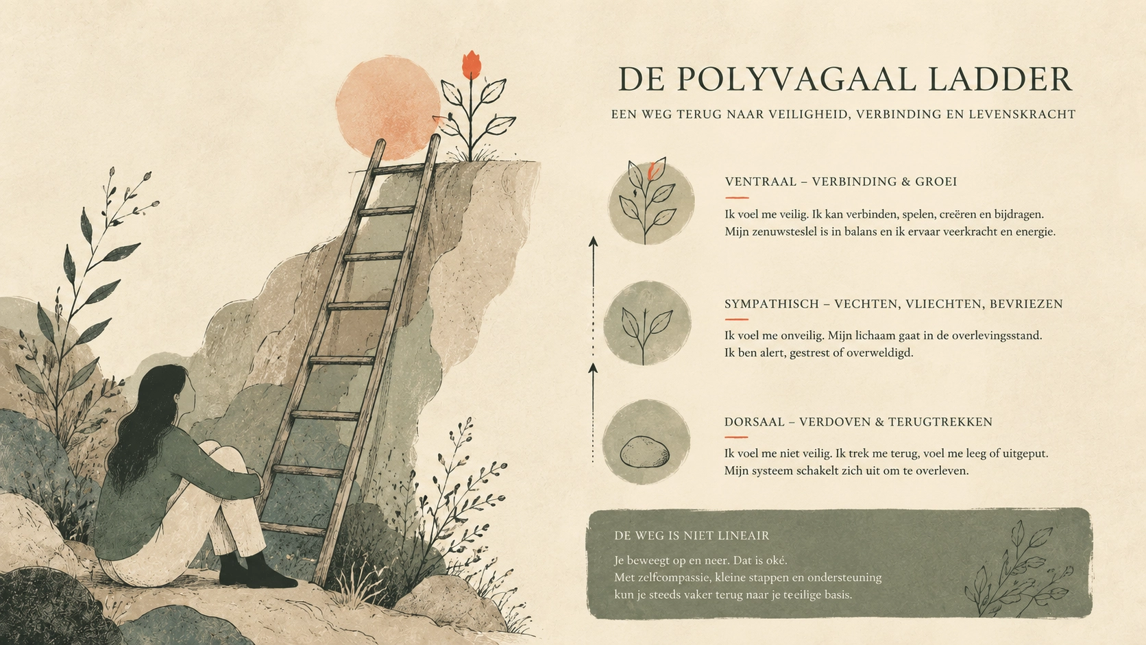 Illustratie van een persoon die naar een lader kijkt: de polyvagaal ladder verklaard.